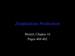 Zooplankton Production - Ohio State University