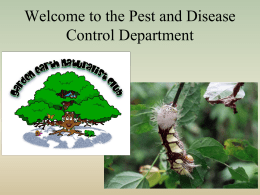 Pest and Disease Control Department