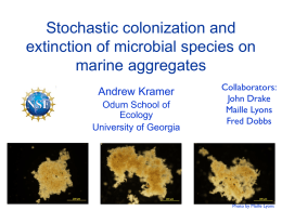 Stochastic colonization and extinction of microbial