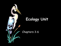 Ecology Unit - Newark Central School / Overview