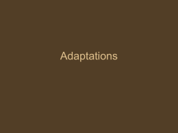 Adaptations - Londonderry School District