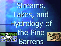 Streams, Lakes, and Hydrology of the Pine Barrens