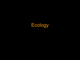 Ecosystem Structure & Function