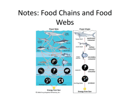 13.4-Food Chains and Food Webs
