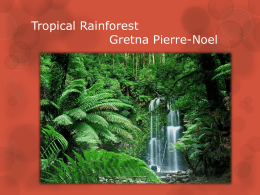 Tropical Rainforest Gretna Pierre-Noel