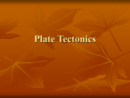 Plate Tectonics & Evolution