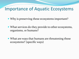Importance of Aquatic Ecosystems