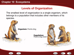 Chapter 10 Ecosystems Levels of Organization