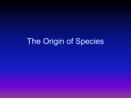The Origin of Species - Scituate Science Department