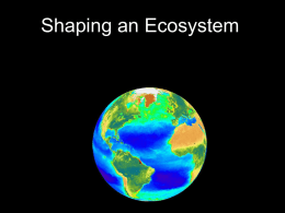 what shapes an ecosystem?