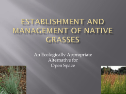 Establishment and Management of Native Grasses for Pennsylvania