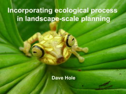 Incorporating ecological process in landscape-scale planning