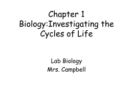 Chapter 1 Biology:Investigating the Cycles of Life