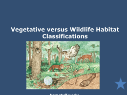 Vegetative versus Wildlife Habitat Classifications