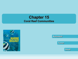 Coral Reef Communities