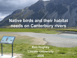 Native birds and their habitat needs on Canterbury rivers Published