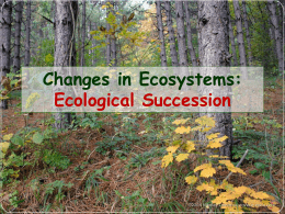 Ecological Succession What is Ecological Succession?