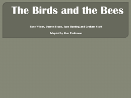 birds and the bees presentation