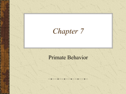PowerPoint Chapter 7 - Bakersfield College
