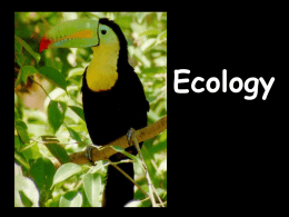 Ecology Unit - Biology Junction