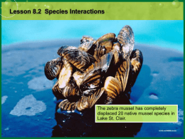Lesson 5.2 Species Interactions