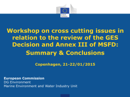 2015 cross-cutting issues workshop