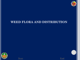 4.weed flora and Distribution