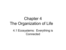 Chapter 4 The Organization of Life