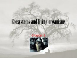ecosystems and living organisms