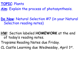 TOPIC: Plants AIM: What is photosynthesis?