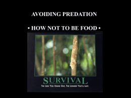 Avoiding Predation