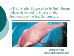 Is That Dolphin Supposed to Be Pink?: Energy Independence and