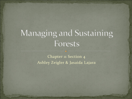 Managing and Sustaining Forests