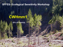 CWHmm1 Presentation March