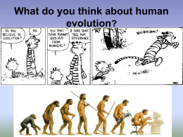 What do you think about human evolution?