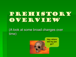 Prehistory Overview