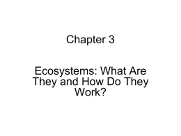 ecossytem ppt 1 - Bioenviroclasswiki
