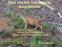Big Game and Early Seral Habitat