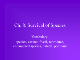 Ch. 8: Survival of Species