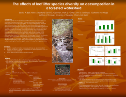 The effects of leaf litter species diversity on decomposition in a