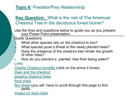 Topic 6: Predator/Prey Relationship Key Question: What is the role