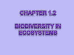 Biodiversity in Ecosystems