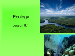 Chapter 4: ECOSYSTEMS AND COMMUNITIES