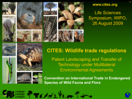 CITES: Wildlife trade regulation