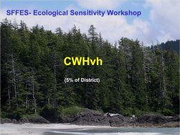 CWHvh Presentation March