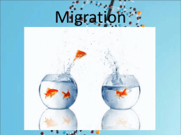 Rare migration vs. Regular Migration