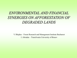 afforestation of bad lands financed through joint implementation