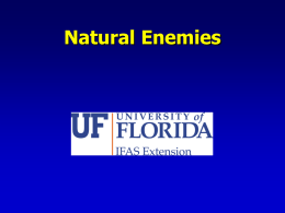 Natural Enemies - IPM Florida