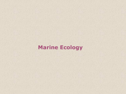 Chapter 9 Marine Ecology