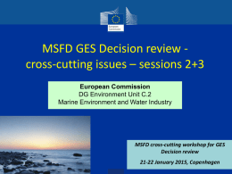 GES cross-cutting issues